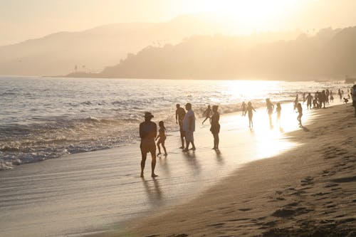 Free People on Beach at Sunset Stock Photo