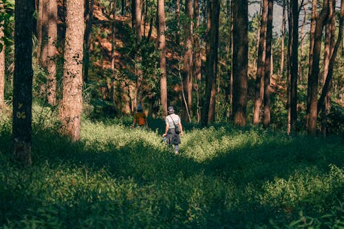 A Woman and Man Walking in the Forest