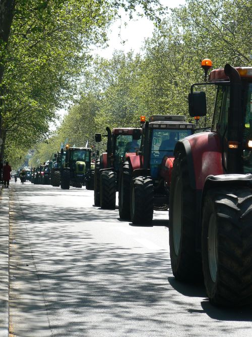 Free A line of tractors driving on a tree-lined street in Paris, France. Stock Photo
