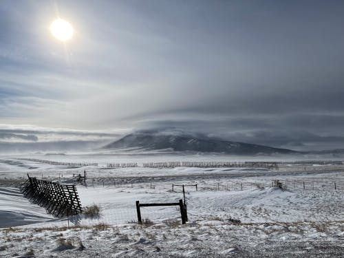 Foto stok gratis bidang, dingin, gunung berselimut salju