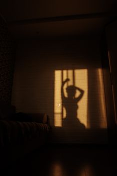 Intriguing silhouette of a woman casting a shadow on a wall in dim indoor lighting.
