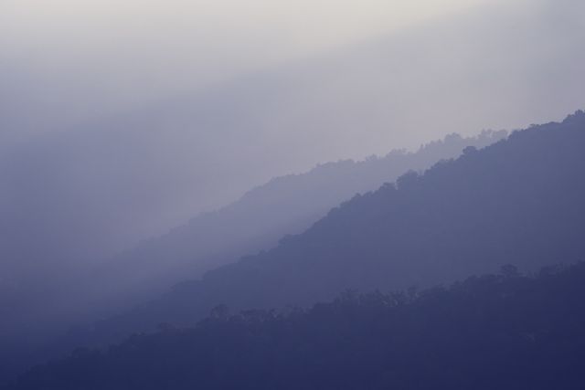 Mist rolling through a mountain valley — photo by 6th Era Photography on Pexels