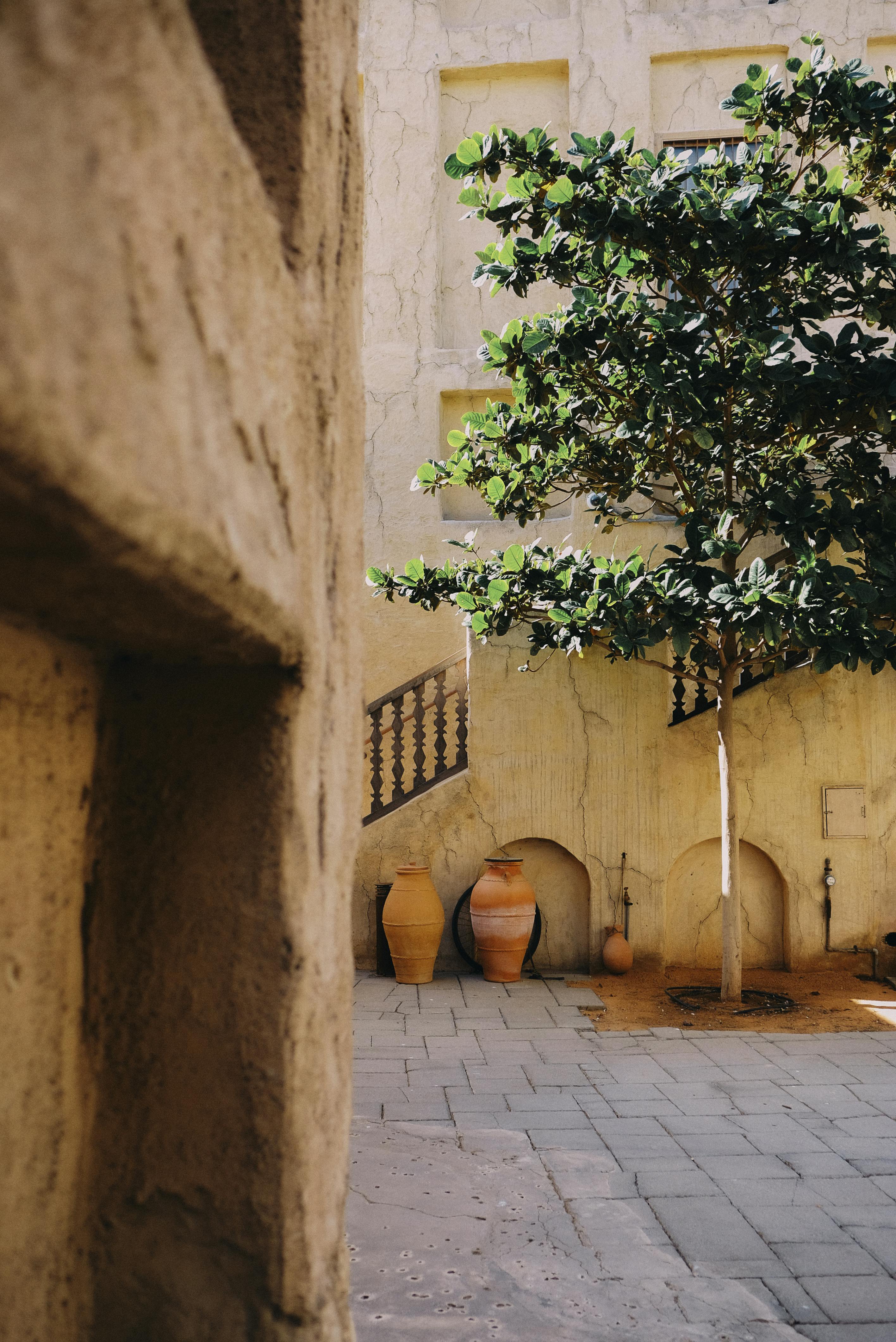 A tranquil courtyard in Dubai featuring a lush tree and traditional pottery.