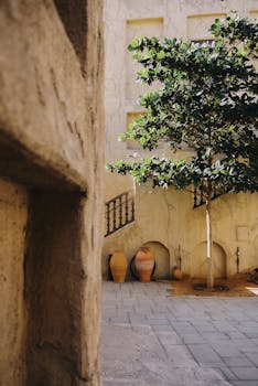 A tranquil courtyard in Dubai featuring a lush tree and traditional pottery.