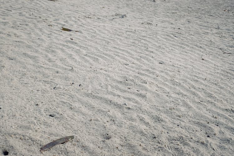 White Sandy Shore