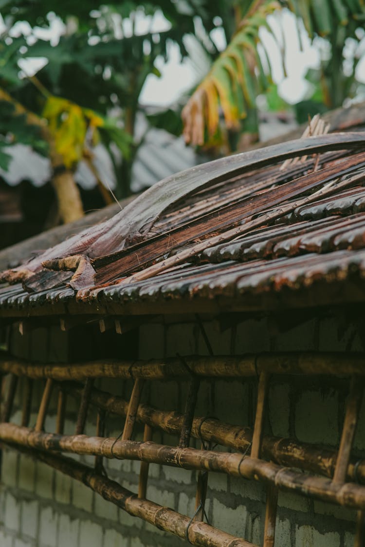 Bamboo Ladders Hanging Outside The House