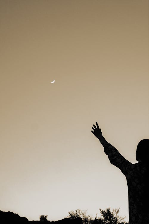 Silhouette of Man Raising His Hand