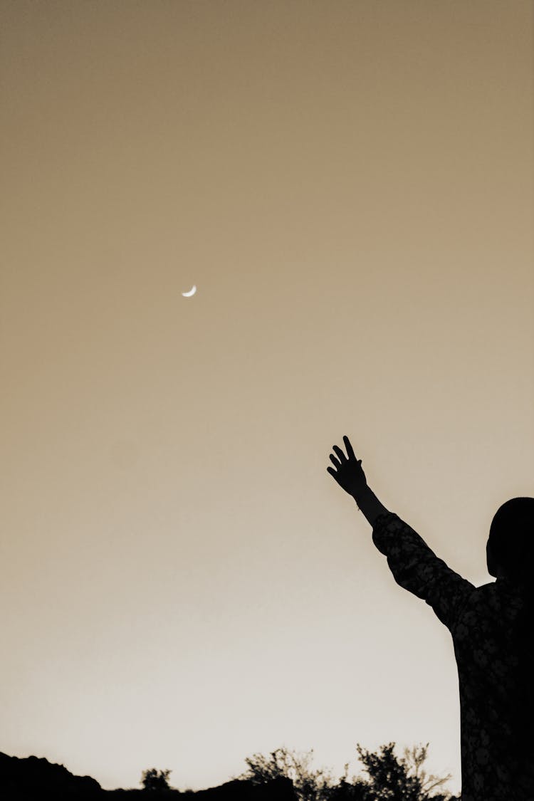 Silhouette Of A Person Raising His Hand