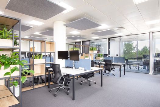 Bright and modern open office with plants, chairs, and large windows.
