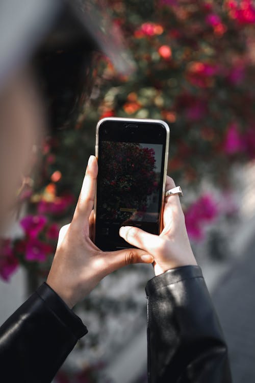 Free Person Holding a Cellphone Taking a Photo Stock Photo