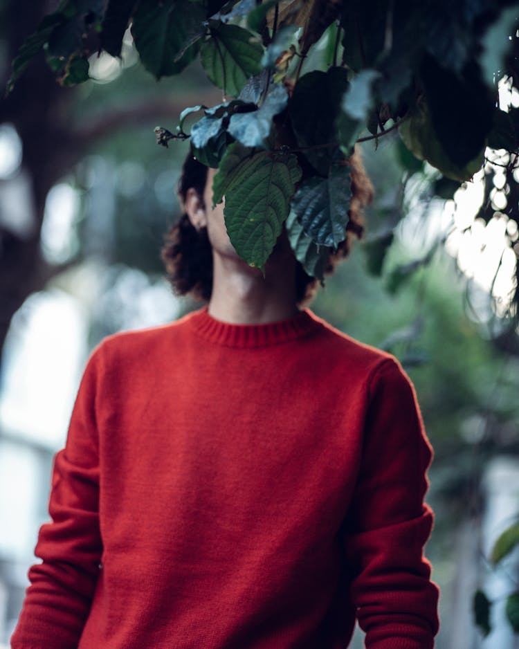 Person Wearing Red Sweater Hidden By Leaves