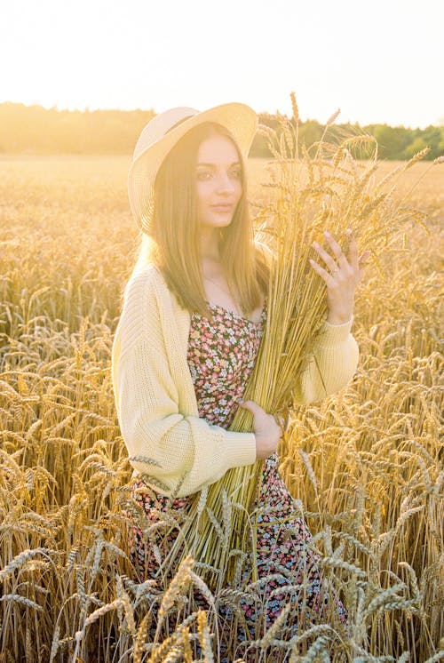 Free Woman Standing on Wheat Field during Sunrise Stock Photo