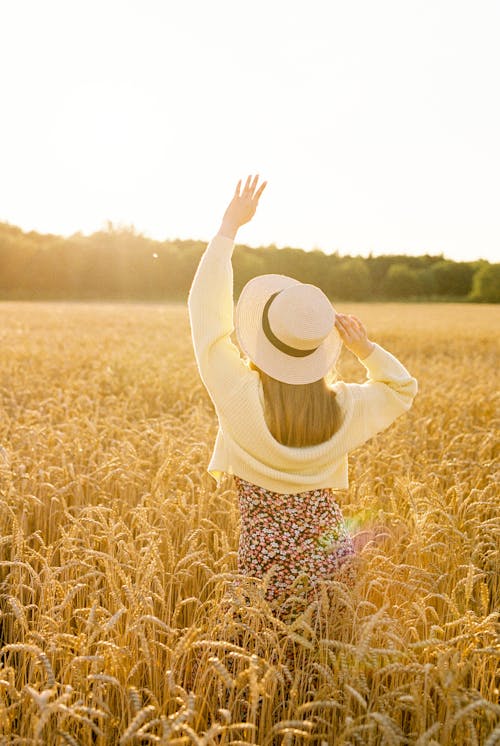 Free Back View of a Woman Wearing Sun Hat while Standing on Wheat Field Stock Photo