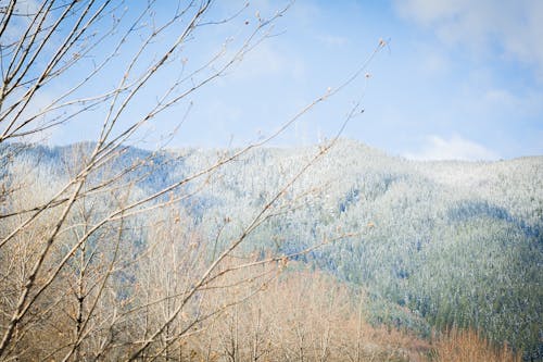 Бесплатное стоковое фото с snoqualmie, безмятежность, белая вода