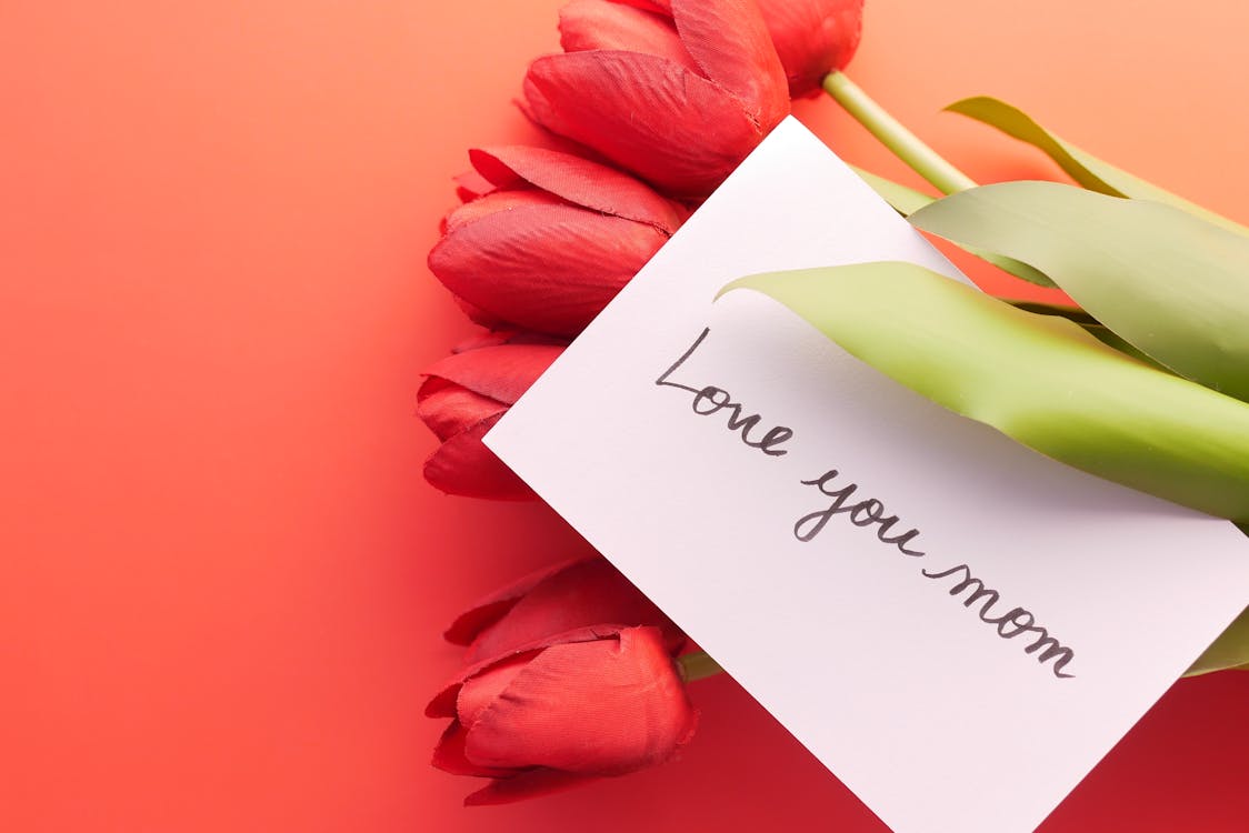 Photo of a Card with Text on Red Tulips · Free Stock Photo