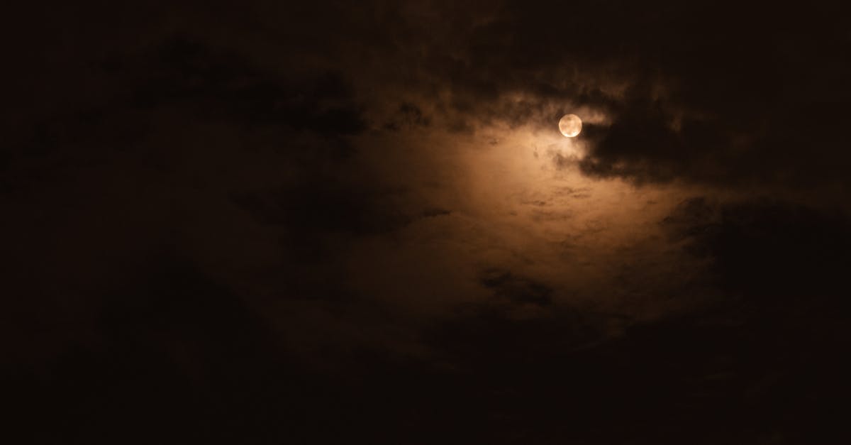 How to say good night in French language