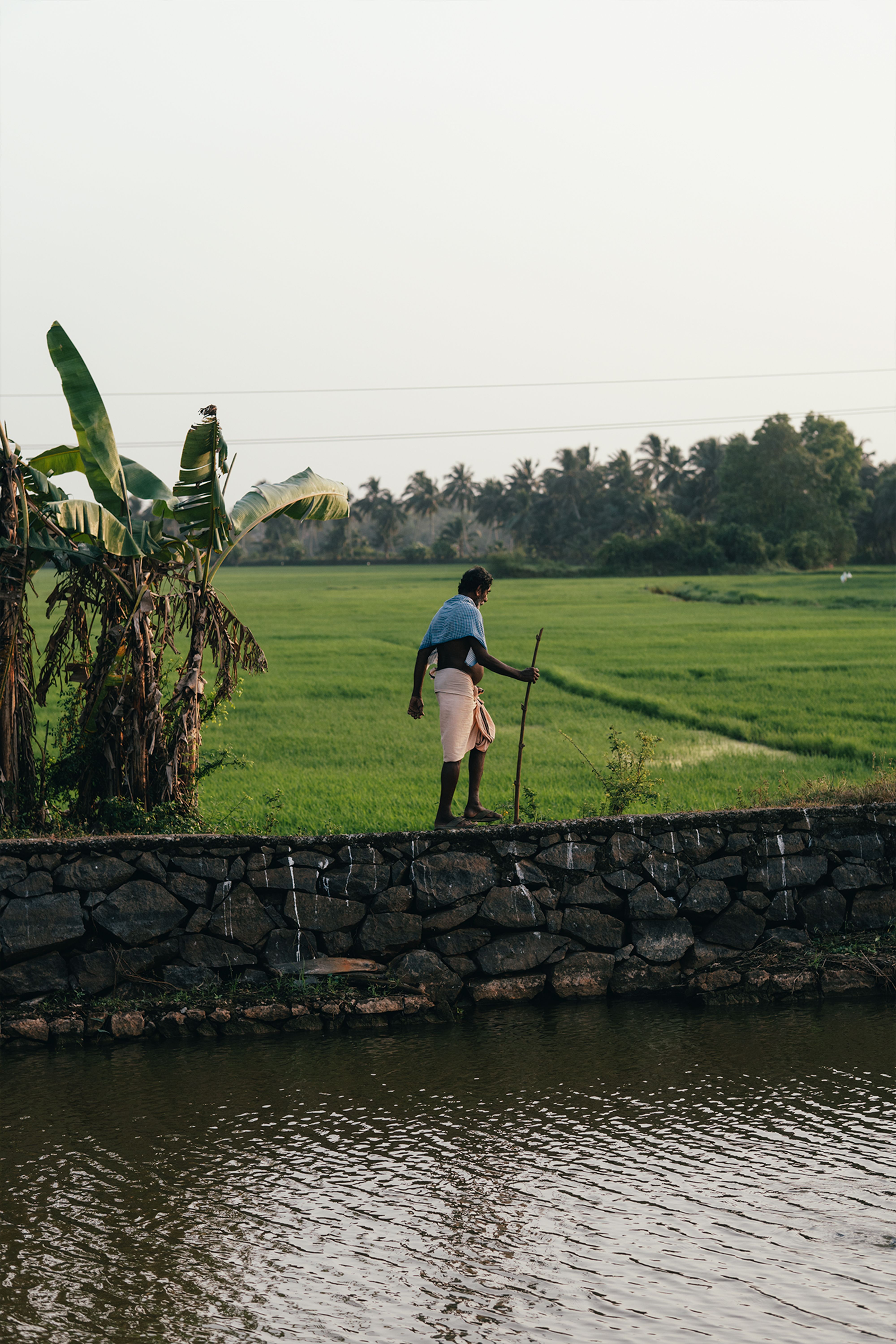 A Person Standing by a River · Free Stock Photo