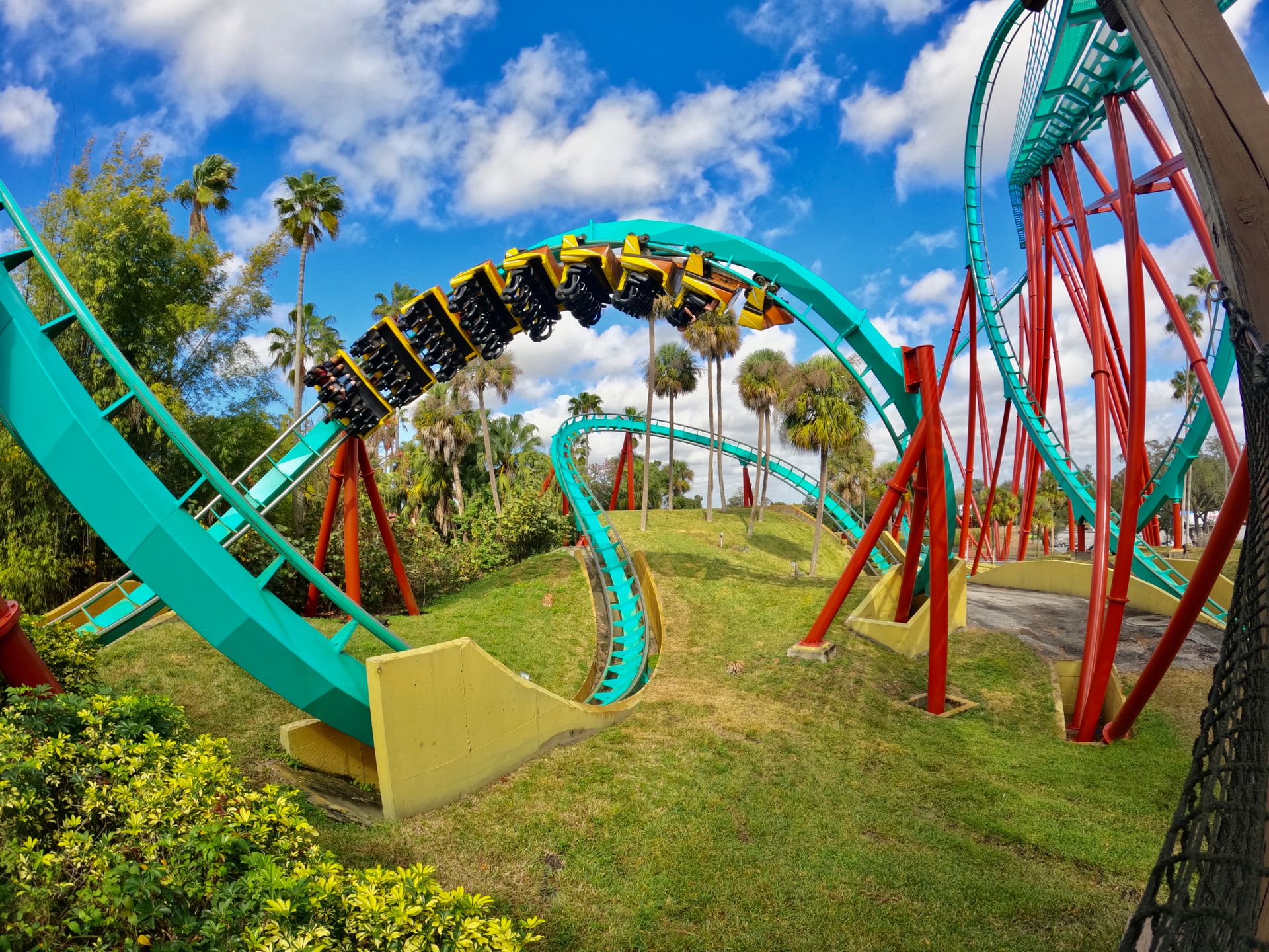 Thrilling roller coaster loop in a Tampa theme park under a bright blue sky.