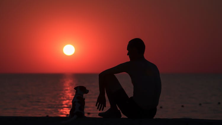 Silhouette Of A Man And A Dog Sitting On The Shore Of A Beach During Sunset