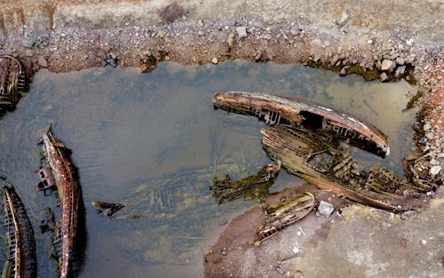 Základová fotografie zdarma na téma letecká fotografie, loď, nádoba