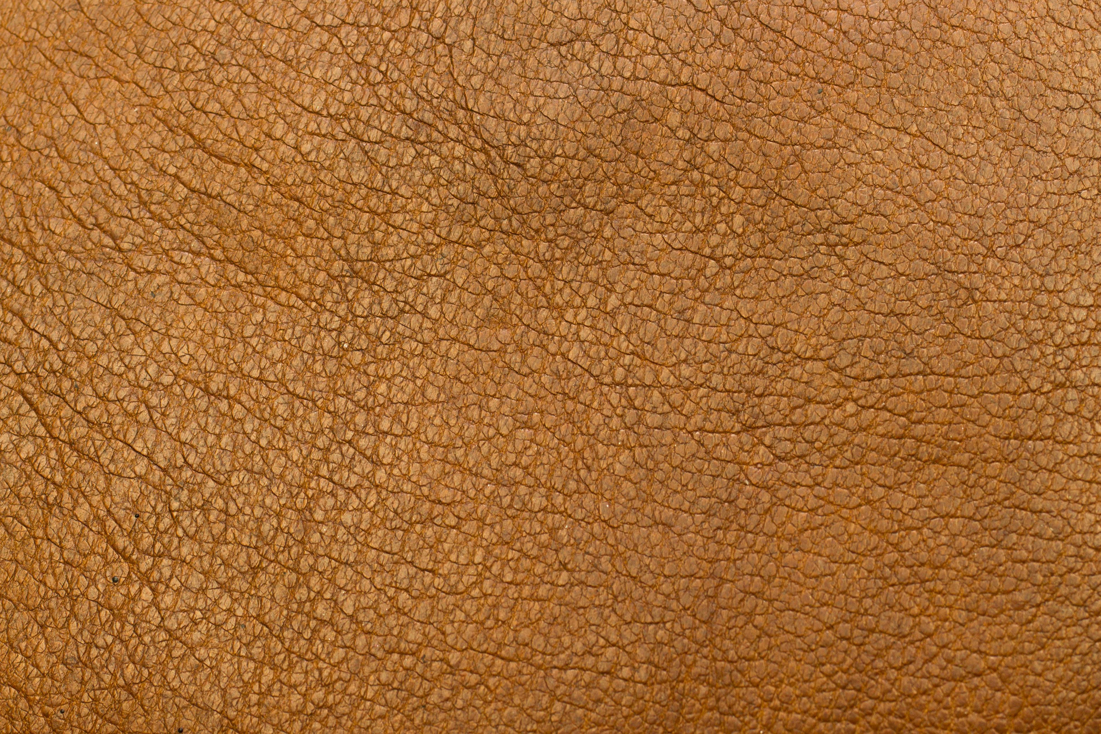 Free stock photo of background, brown, closeup