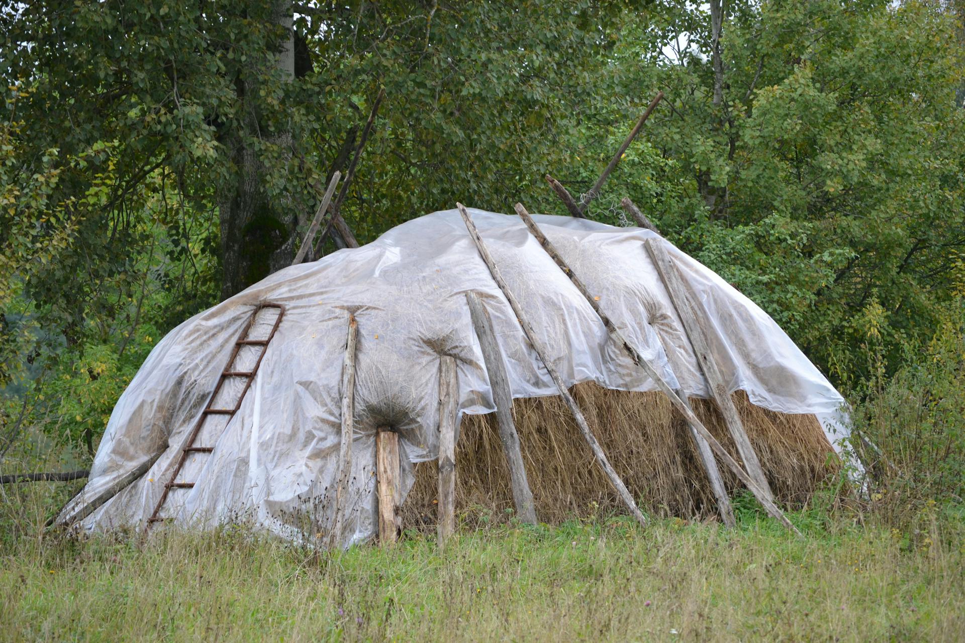 A rustic haystack covered with plastic sheeting in a green meadow under tall trees.