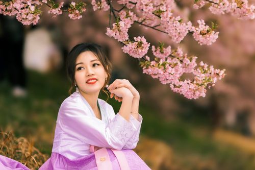 Free Beautiful East Asian woman in traditional dress enjoying cherry blossoms in spring. Stock Photo