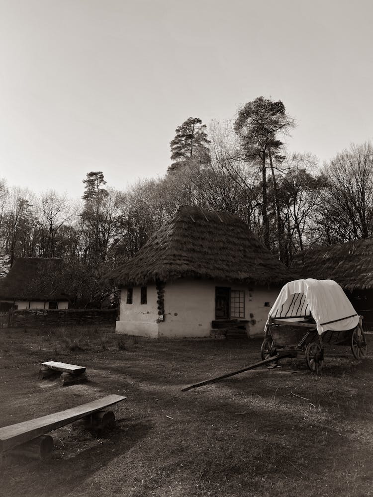 Wooden Carriage Parked Near A House