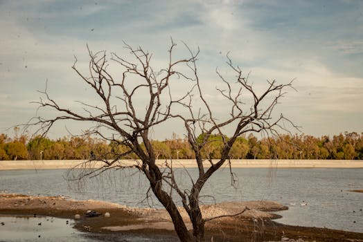 A tranquil autumn scene featuring a lone bare tree by a calm river under a clear sky.