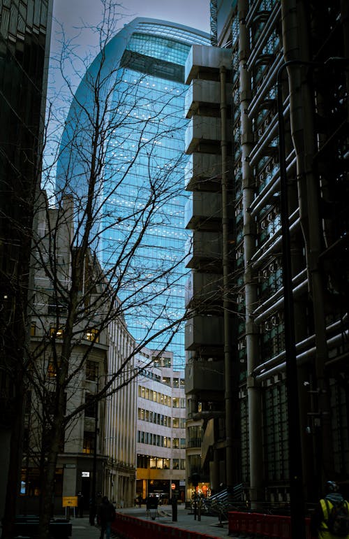 Foto profissional grátis de 20 Fenchurch Street, arquitetura, cidade de londres