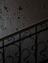 Paint Peel Off on the Wall