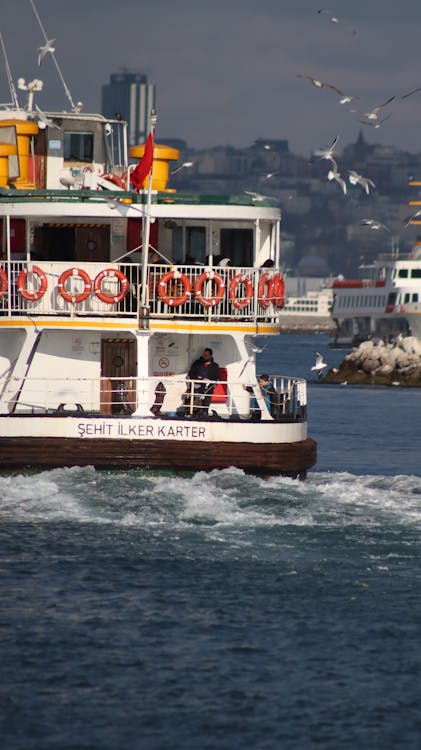 White and Brown Boat on Sea