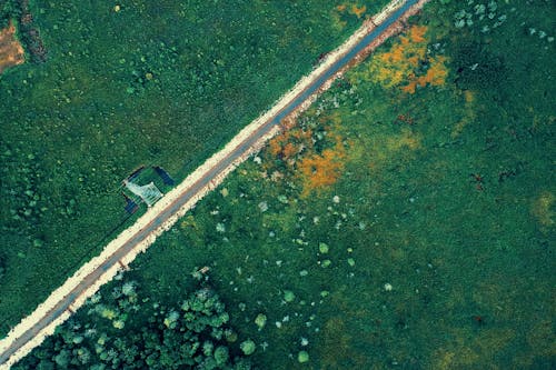 Aerial Photo Of Highway