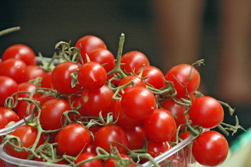 Free A Red Cherry Tomatoes on a Plastic Crate Stock Photo