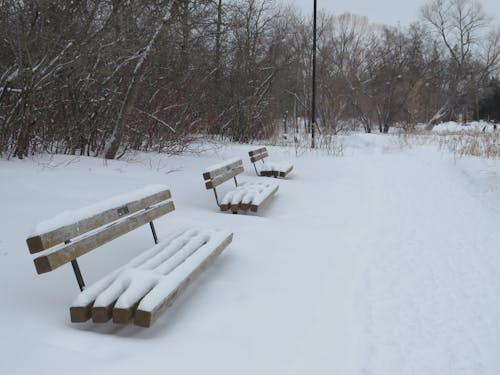 Gratis arkivbilde med benk, canada, manitoba