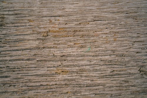 Darmowe zdjęcie z galerii z chropowaty, drewno, powierzchnia