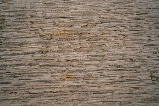 Detailed close-up of a rough, weathered wooden surface showcasing natural texture.
