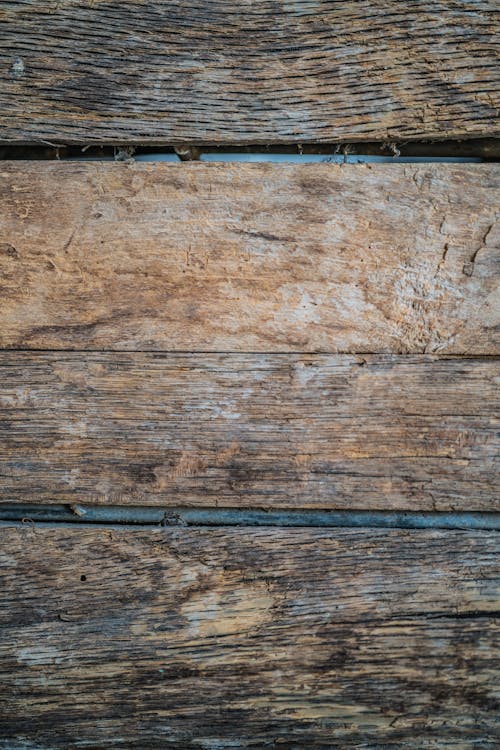 垂直拍摄, 手撐式(用手掌撐plank), 木 的 免费素材图片