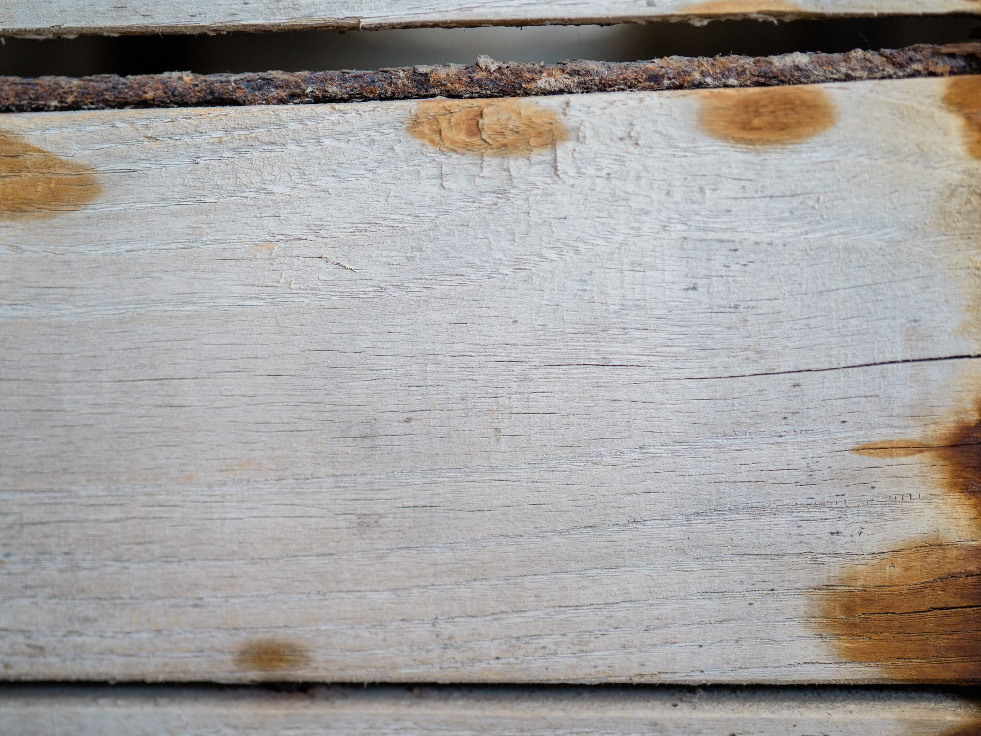 Fence and Decking Painting in Seven Kings, Redbridge — garden fence being painted with weatherproof wood finish