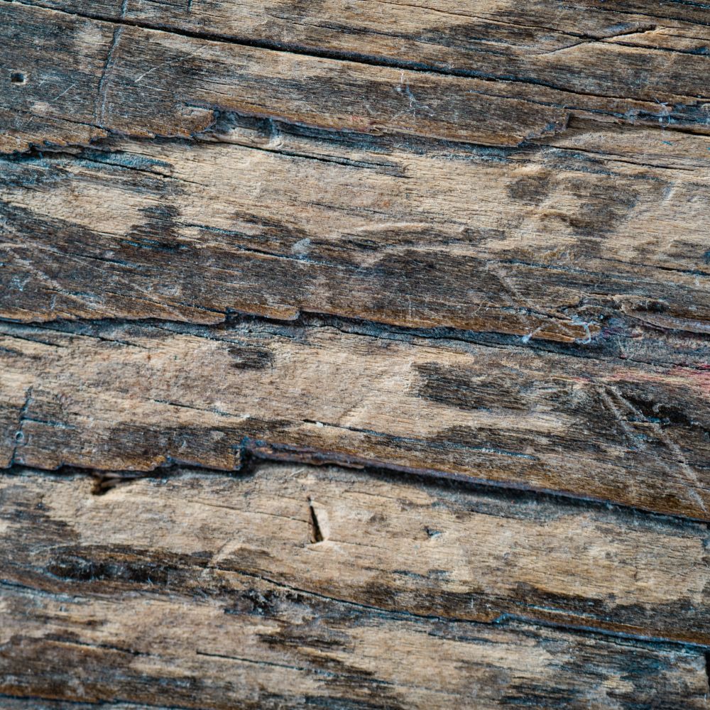 Kitchen Spraying in Hook — surfaces prepped and cut in by hand