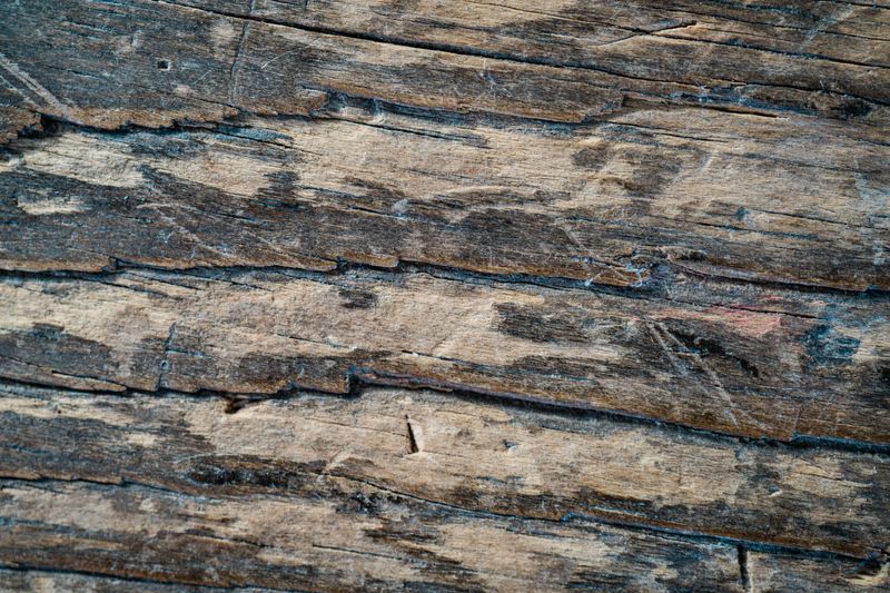 Detailed close-up of an old, weathered wooden surface with visible texture.