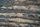 wooden texture