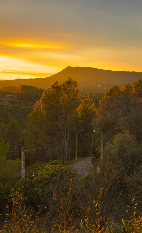 Free Scenic view of a vibrant sunset over mountains and trees in Catalonia, Spain. Stock Photo