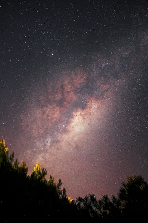 Бесплатное стоковое фото с вертикальный выстрел, звездное небо, зеленые деревья