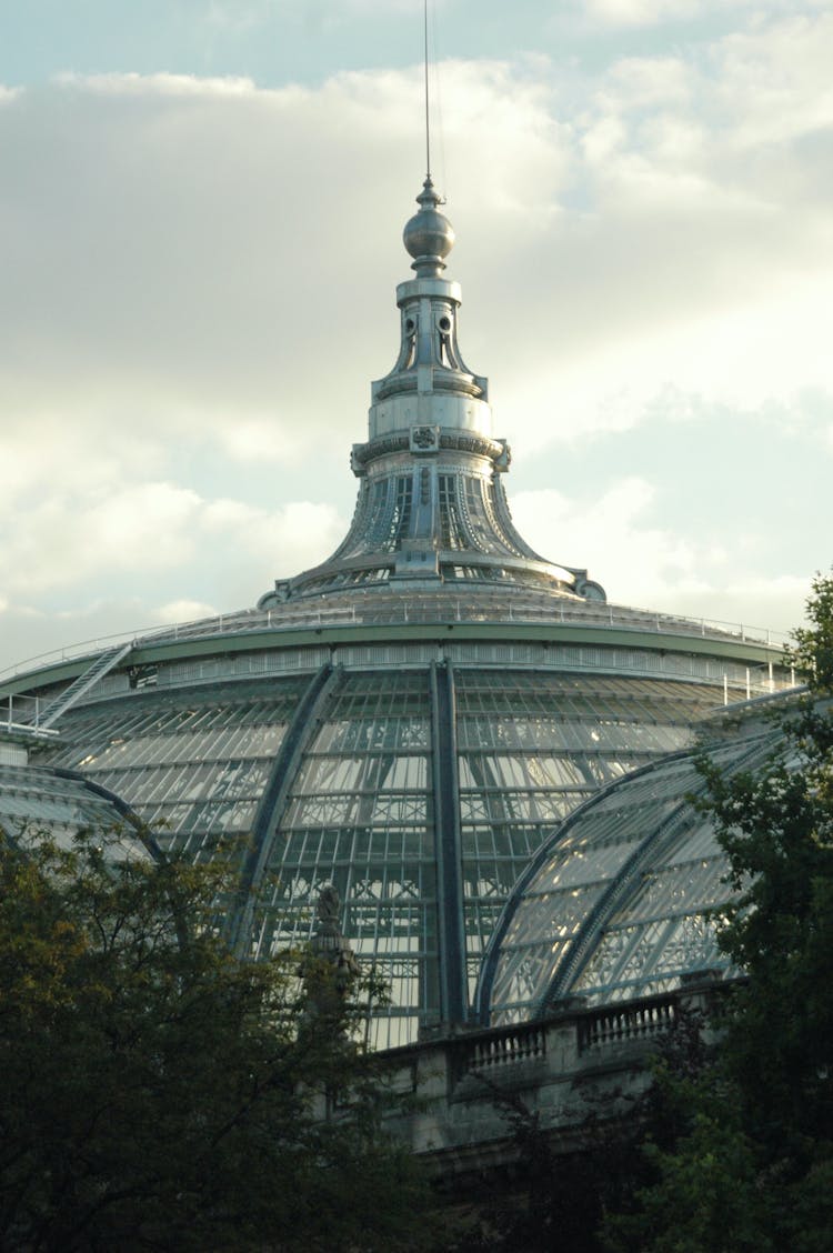 Grand Palais Near Green Trees Under White Sky