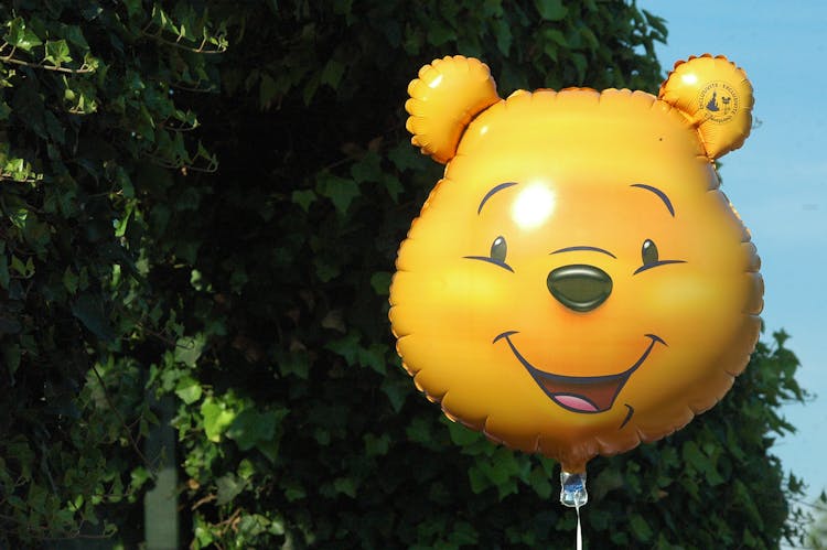 Winnie The Pooh Balloon Near Green Leaves