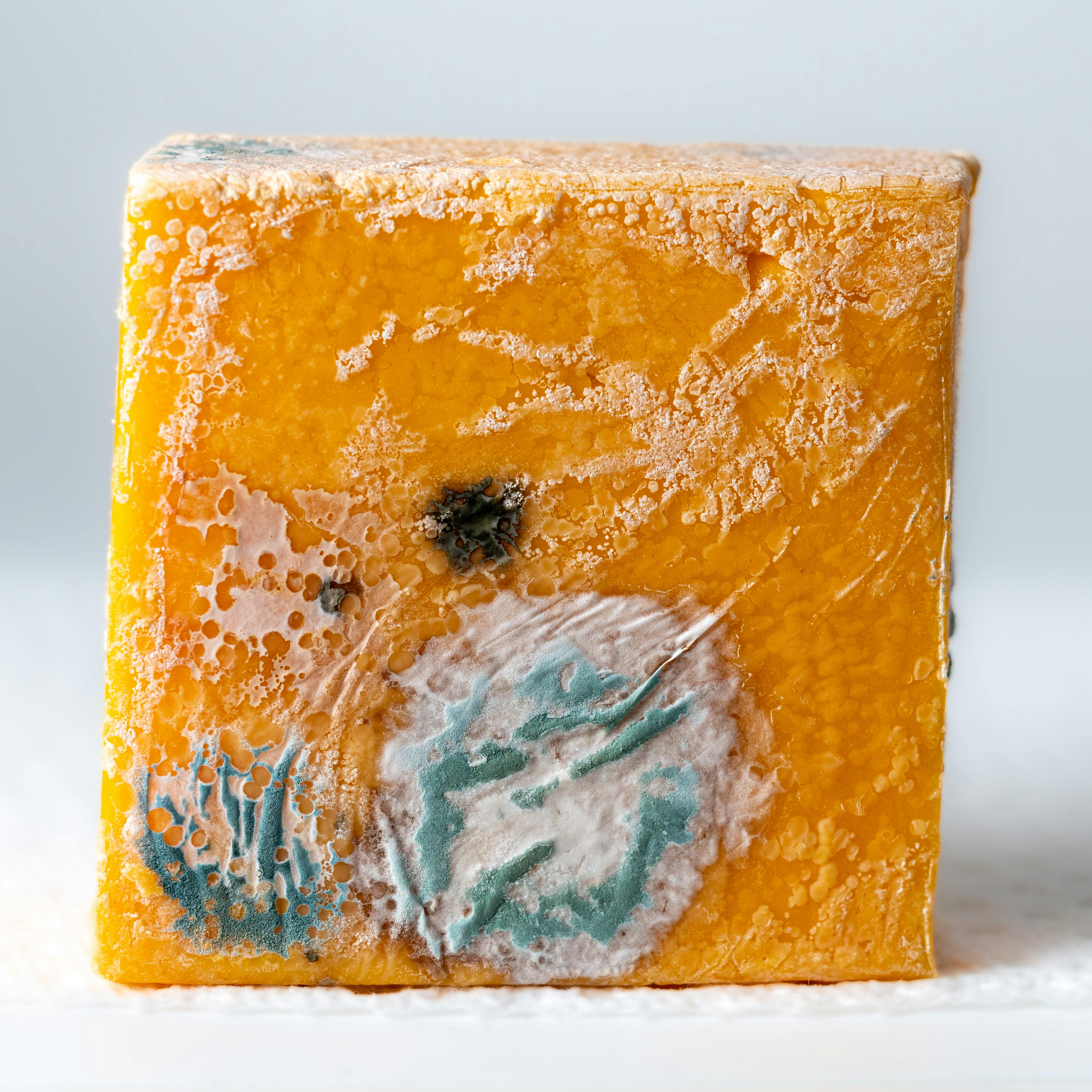 Detailed image of a cheddar cheese block with visible mold growth, emphasizing texture.