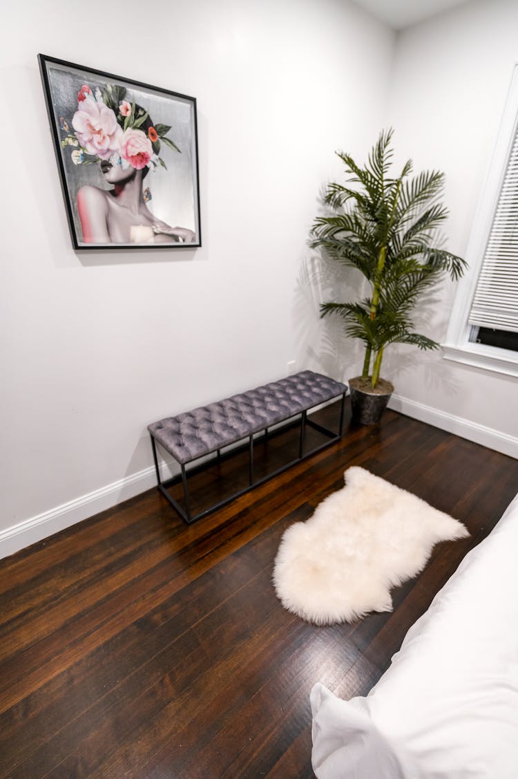 Image, Plant, Bench And Carpet In Room