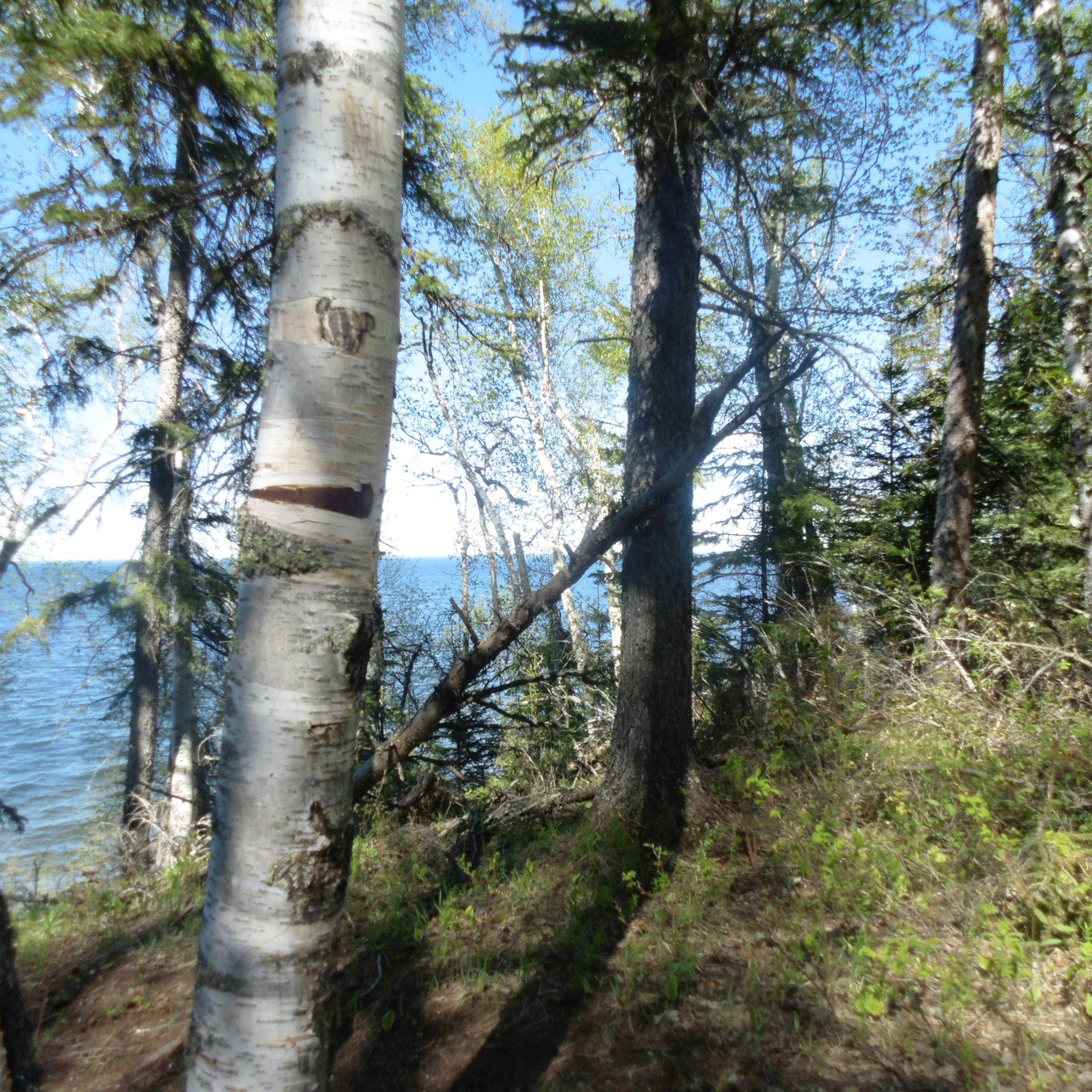 니로 하이브리드 차량 이미지