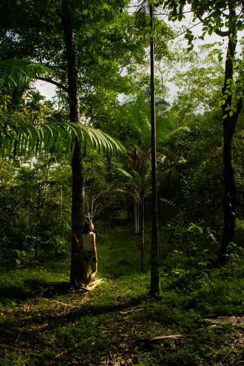 Woman Standing in the Middle of the Forest · Free Stock Photo